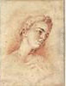 Portrait Presume De Madame Nattier by Jean-Marc Nattier