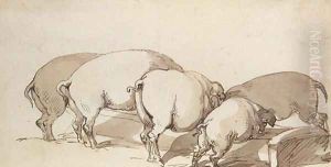 Pigs at a Trough, c.1790 by Thomas Rowlandson