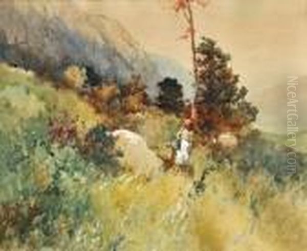 Pri Zbere Lesnych Plodov - view 1