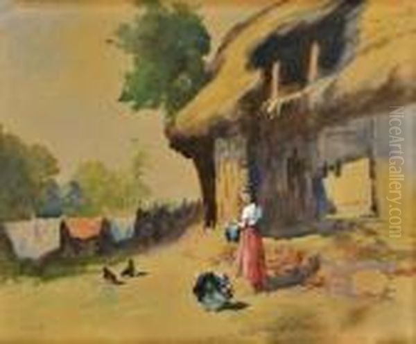 Krmenie Hydiny - view 1