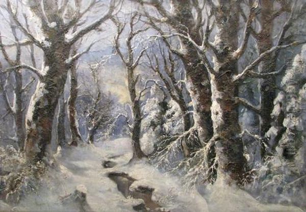 Winter In The Forest - view 1
