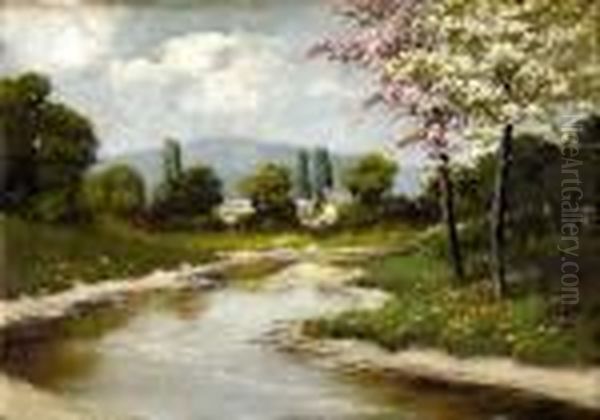 Krajina S Orgovanom - view 1