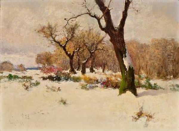 Winterlandschaft - view 1