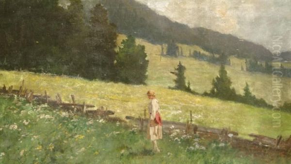 Viragos Mezon - view 1