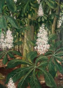 Flowering Chestnuts