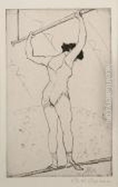 Acrobat - view 1