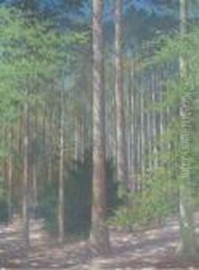 Forest Glade