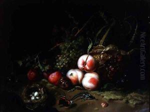 Still Life of Fruit, 1711 by Rachel Ruysch