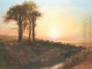 Cattle At Sunset