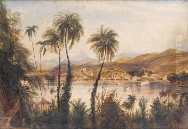 A River In Ceylon - view 1