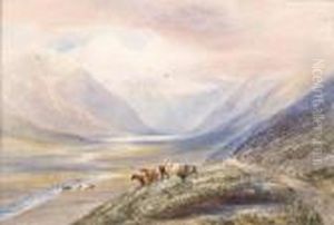 The Upper Lake