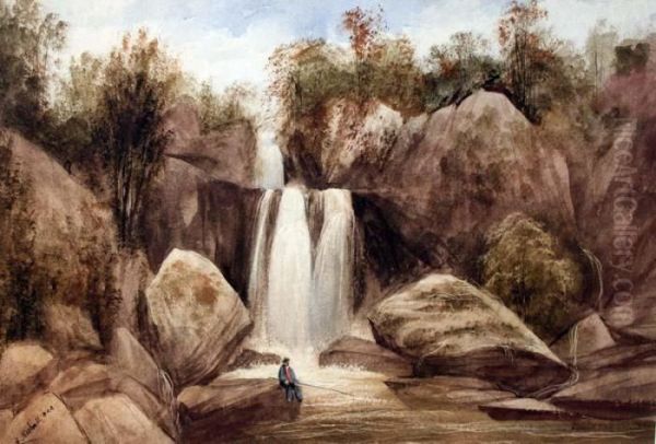 Waterfall In Glenarm Park - view 1
