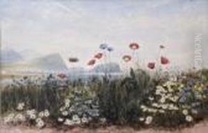 Bray Head Seen Through A Bank Of Wild Flowers