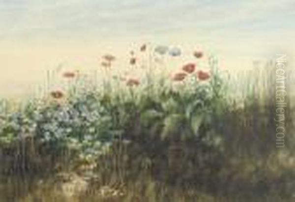 A Bank Of Poppies, Cornflowers, Marigolds And Other Wild Flowers - view 1