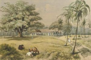 The Governor's House