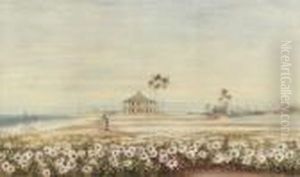 A View Of The Fortifications From Galle Face