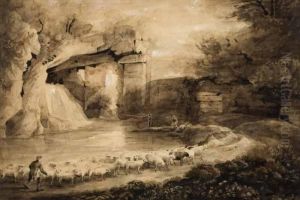 Driving Sheep