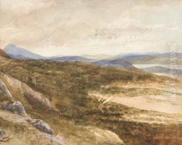 The Ward Of The Boar Drive - view 1