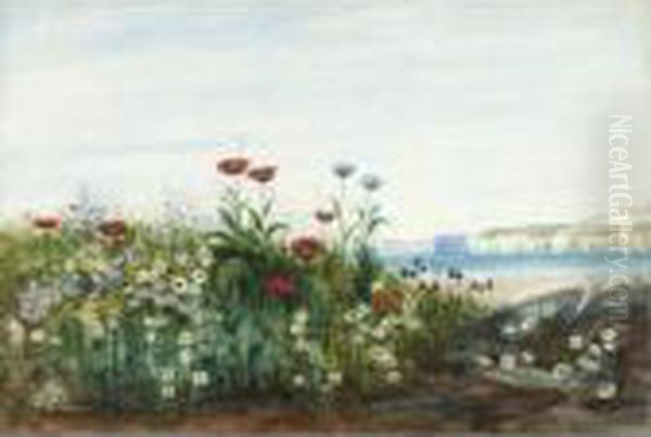 A Bank Of Wild Flowers With The North Antrim Coast Beyond - view 1