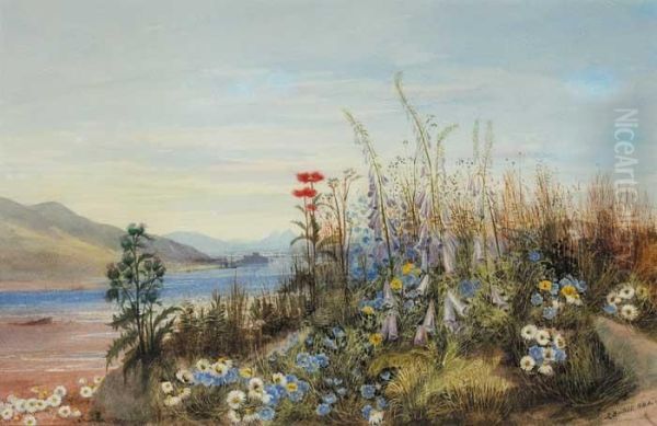 Bank Of Wild Flowers With View Of A Fort,lough And Mountains In The Distance - view 1