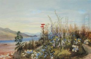 Bank Of Wild Flowers With View Of A Fort,lough And Mountains In The Distance