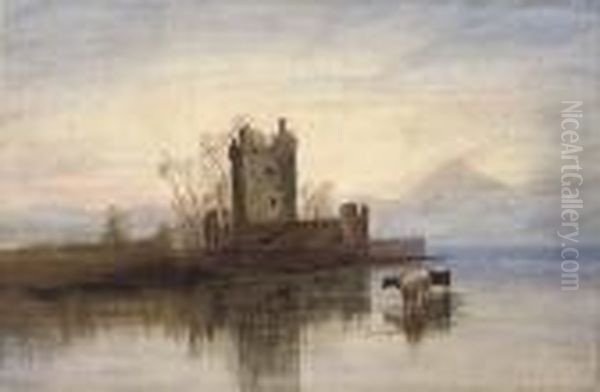 View Of Ross Castle, Killarney, Co. Kerry - view 1