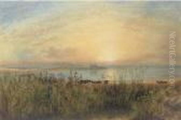 A Lake Landscape With Cattle Grazing And A Castle Beyond - view 1