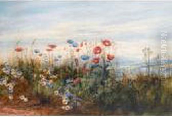 A Poppyfield With A View Of Doe Castle, Co.donegal - view 1