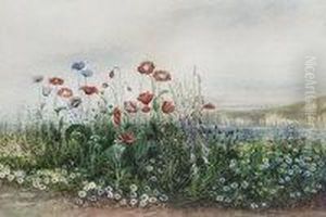 Poppies And Wild Flowers With Dunluce Castle Beyond, County Antrim by Andrew Nicholl