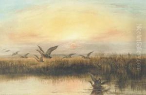 Duck Flighting At Dusk by Andrew Nicholl