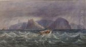 St. Helena From The North-east by Andrew Nicholl