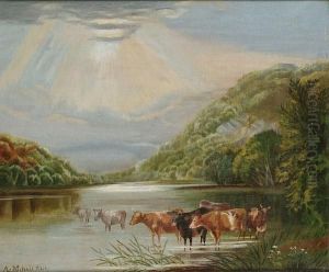 Cattle Watering