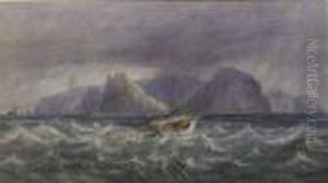 St. Helena From The North East by Andrew Nicholl