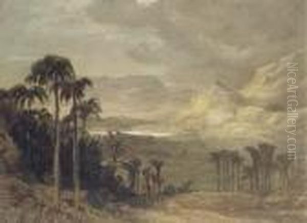 A View In Ceylon - view 1