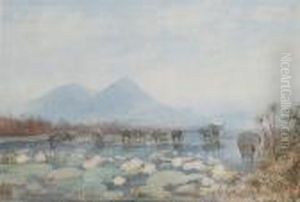 Elephants Browsing Amongst Water Lilies