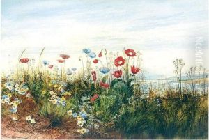 A Poppyfield With A View Of Doe Castle, County Donegal by Andrew Nicholl