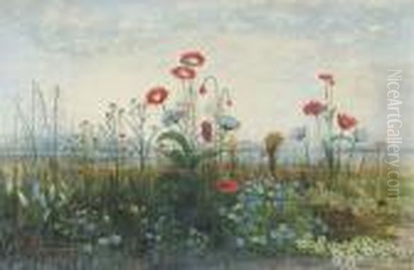 Poppies, Ox-eye Daisies And
Dandelions At The Edge Of A Field, Withcarlingford Lough And The Town Of
Rostrevor And The Obelisk Inmemory Of Sir John Ross Of Bladensburg In
The Distance, With Themountains Of Mourne Beyond - view 1