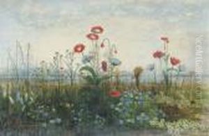 Poppies, Ox-eye Daisies And 
Dandelions At The Edge Of A Field, Withcarlingford Lough And The Town Of
 Rostrevor And The Obelisk Inmemory Of Sir John Ross Of Bladensburg In 
The Distance, With Themountains Of Mourne Beyond