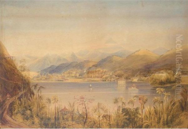 A Scene In The Island Of Ceylon - view 1