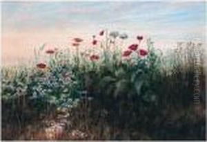 A Bank Of Wild Flowers