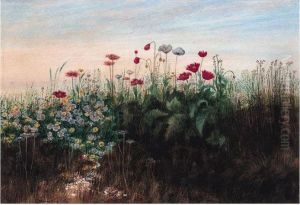 A Fringe Of Wild Flowers