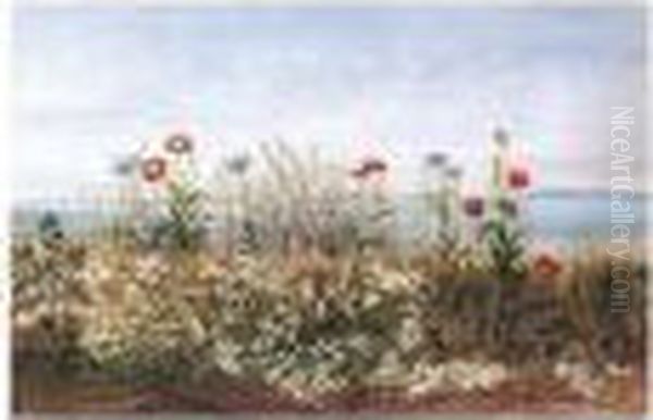 View Of Howth, Co.dublin Through A Poppy Field - view 1