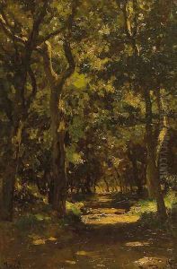 A wooded lane, Texel