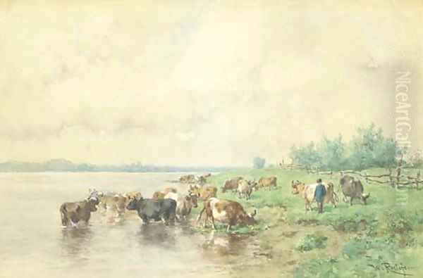 Cattle grazing by the riverside - view 1