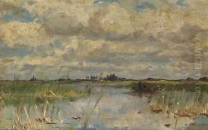 Etang a Noorden printemps by Willem Roelofs