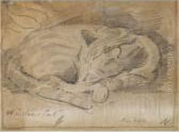 Winston Churchill's Cat - view 1