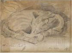 Winston Churchill's Cat