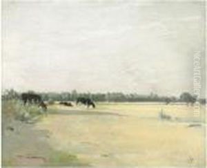 Meadows
