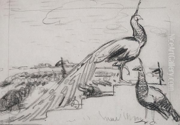 Peacocks In A Garden - view 1