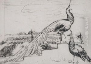 Peacocks In A Garden